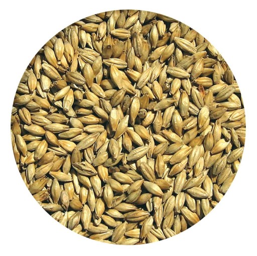 PALE ALE ZERO slad jačmenný Viking Malt 1kg