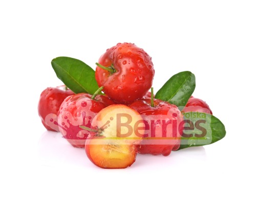BIO Acerola šťava 100% Acerola šťava 250ml