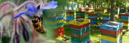 MED VIACKVETOVÝ 400gr Včelín z Podkarpatska