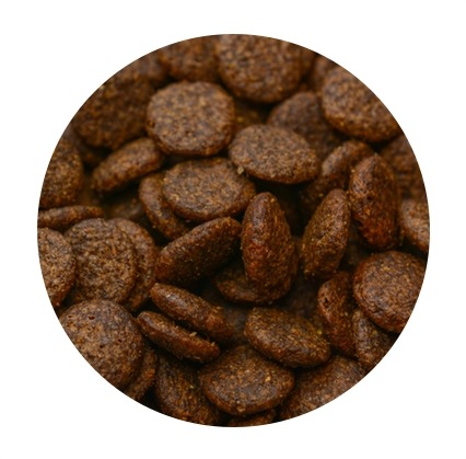 CANIWILD DOSPELÝ TRENSKOR 100G S LOSOSOM TRENSKOU