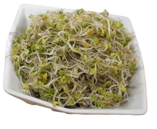SAREPSOVÁ HORČICA - semená na klíčky 250g