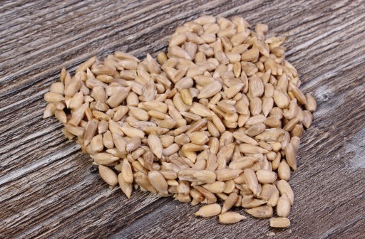 LÚPANÁ SLNEČNICA 1 KG SLNEČNICOVÝCH SEMIENKOV