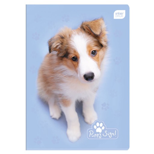 Štvorcový zápisník A5 so 16 stranami Mix Puppy Sign