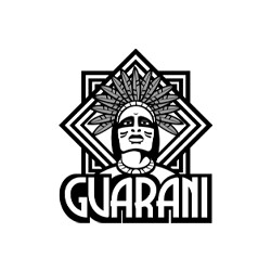 Vzorka Yerba Mate Guarani Let it snow 50g