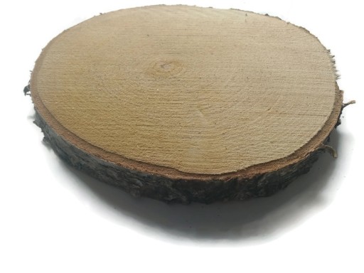 Plátky suchého dreva, brezové kotúče, 16-20 cm