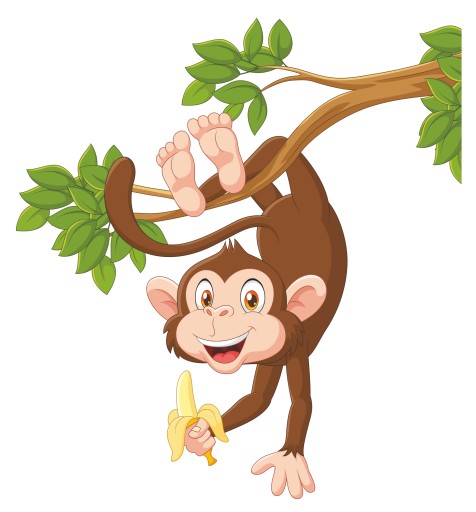 NÁLEPKA NA OKENNÝ SKLENENÝ NÁBYTOK ZRKADLO MONKEY MONKEY