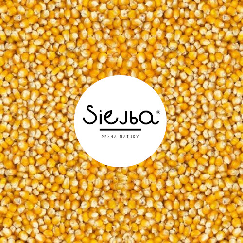 Kukuričné zrno, pukance 1KG SIEJBA