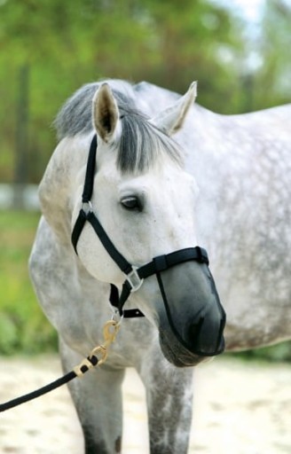 Maska na konský nos proti hmyzu Pony