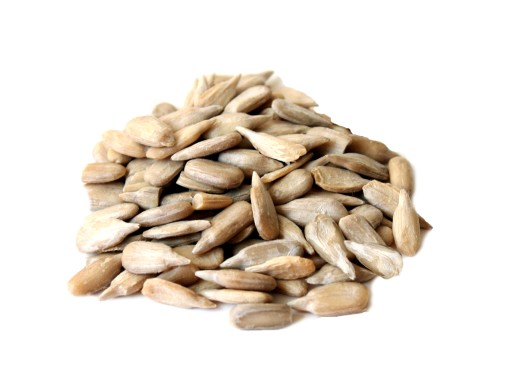 LÚPANÁ SLNEČNICA 1kg PRÍRODNÉ čisté VEĽKÉ čerstvé SEMENÁ vhodné BEZ GMO