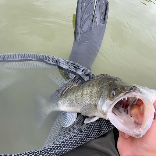 Relax ZANDER RUBBER Ripper OHIO 4'' - 10 cm