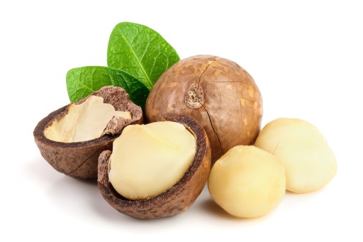 MAKADAMIOVÉ ORECHY 100G MAKADAMIOVÉ ORECHY EKOBI