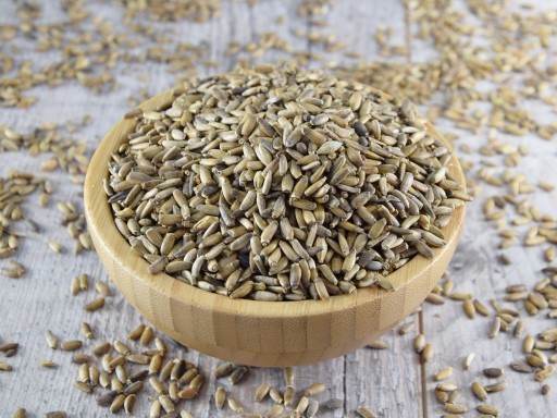 SEMENÁ MILIKA - 500 g