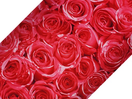 Dyha nábytková fólia PVC tapeta ROSES 45x50cm H74