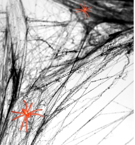 UMELÝ HALLOWEEN SPIDER WEB ČIERNA 60g