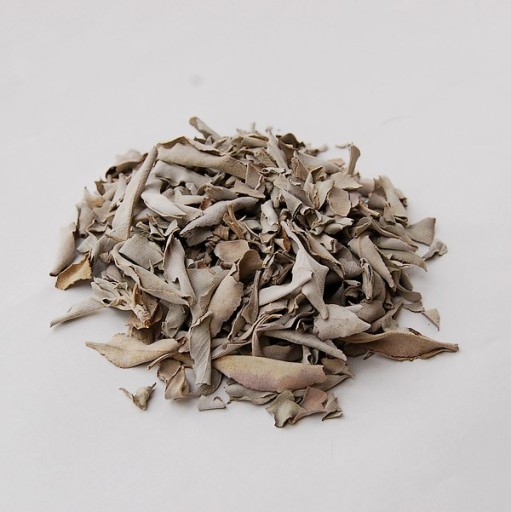 BIELA šALvia 25g - I. trieda - Salvia Apiana