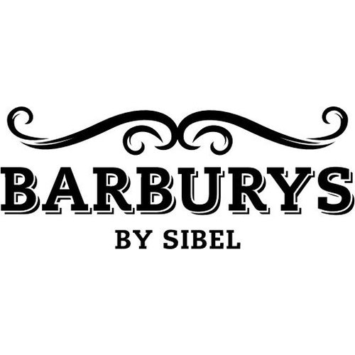 BARBURYS HREBEŇ PRE STYLING BRADU A SEARCH
