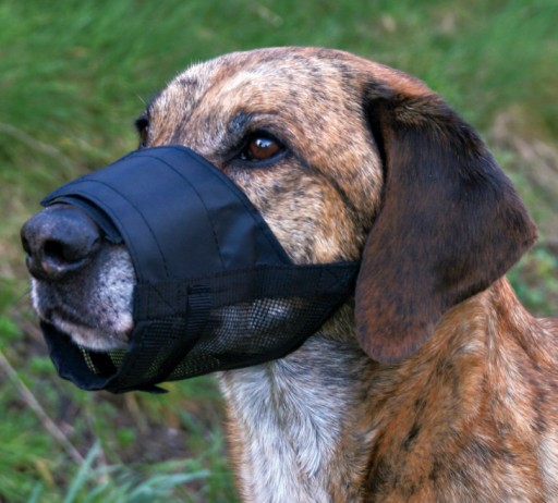 NÁhubok Rúrka so sieťkou L-XL 22-34cm napr.