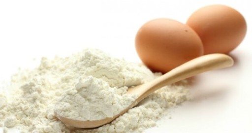 ALBUMINA High Foam Protein Powder 100 g