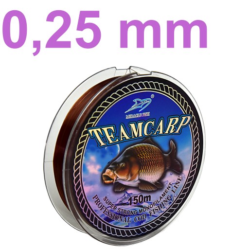 TÍMOVÝ VLAS NA KAPR 0,25 mm 13,0 kg 150 m