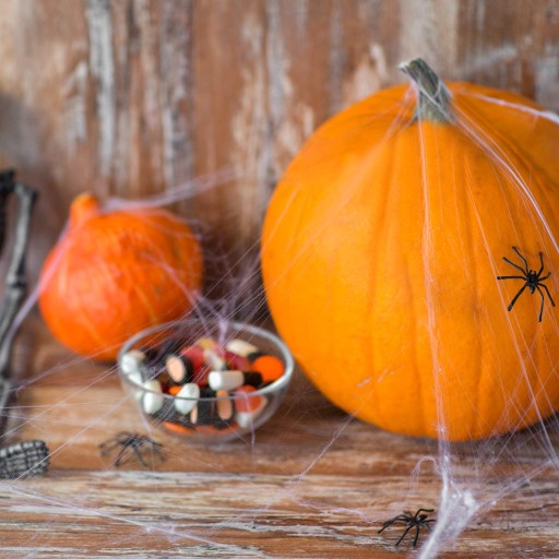 UMELÝ PAVÚČIK BIELY HALLOWEEN 60g + PAVÚKY