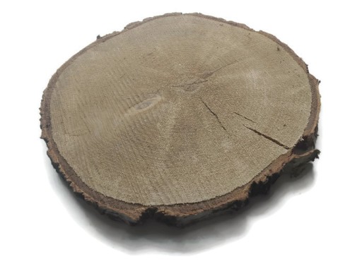 Plátky suchého dreva, brezové kotúče, 16-20 cm