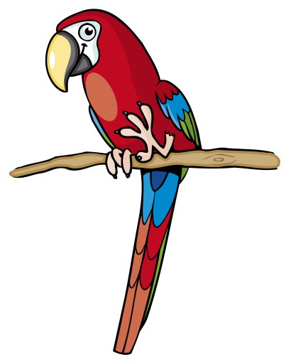 NÁLEPKA NA OKENNÉ ZRKADLO SKLO PAPAGÁJ VTÁK
