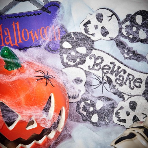 UMELÝ PAVÚČIK BIELY HALLOWEEN 60g + PAVÚKY