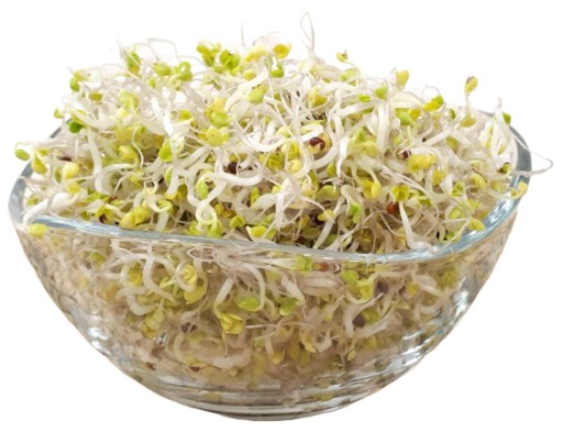 ČÍNSKA KAPUSTINA - Semená na klíčky 100g