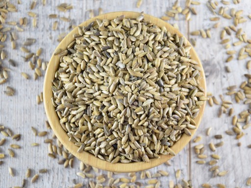 SEMENÁ MILIKA - 500 g