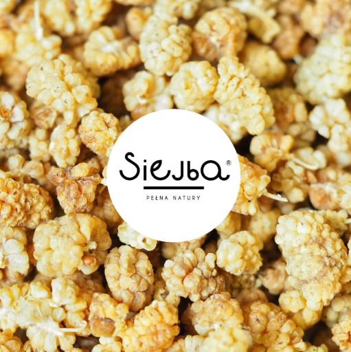 Moruša biela sušená 0,5KG SEJBA