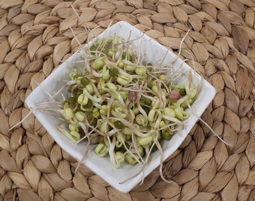 MUNG BEANS semienka na klíčky 100g