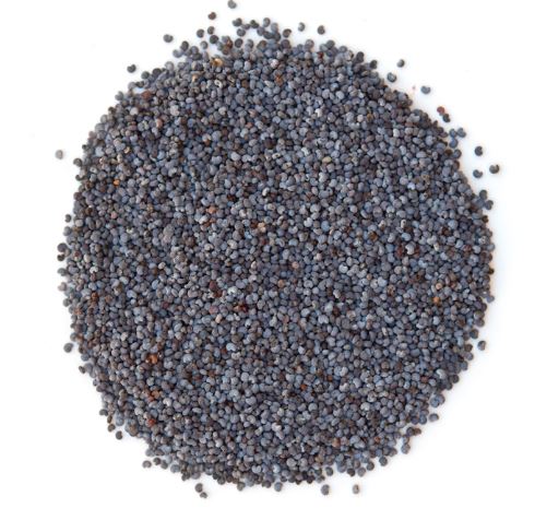 Modrý mak 500g
