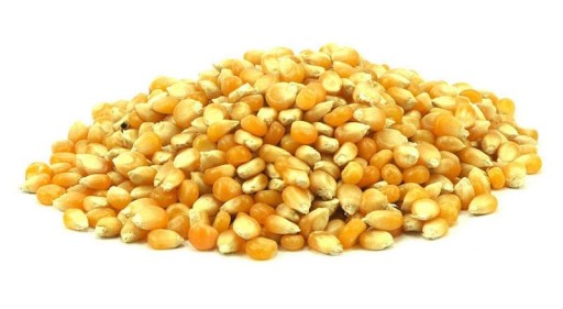 POPCORN POPCORN kukurica, zrno bez soli, 1kg