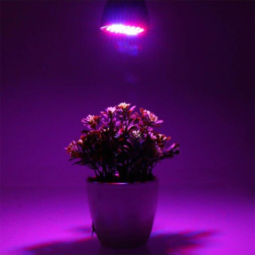 LED GROW ŽIAROVKA NA PESTOVANIE RASTLÍN 5W E27