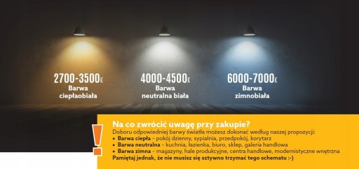 FLOODLIGHT Halogénová LED 10W studená biela + konektor