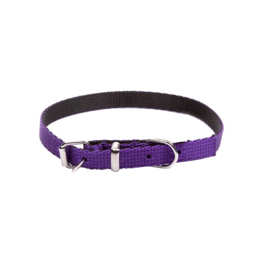 PÁSKA DINGO DOG GOLLAR ENERGY TAPE 1,2x45 FIALOVÁ