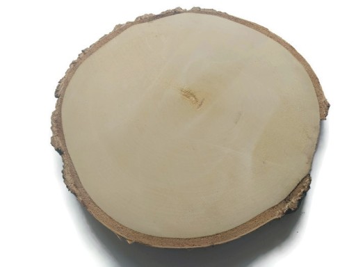 Plátky suchého dreva, brezové kotúče, 16-20 cm