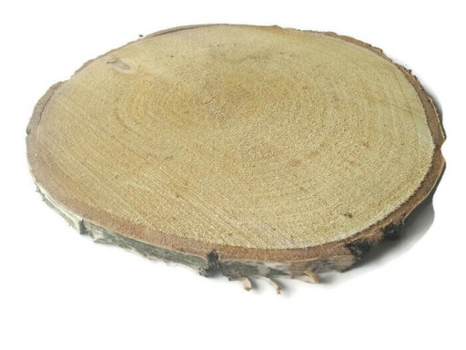 Plátky suchého dreva, brezové kotúče, 16-20 cm