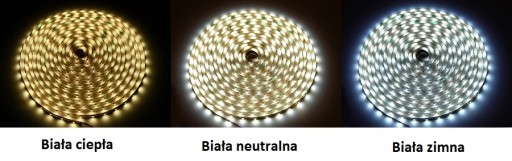 STRIP STRIP 300 LED SMD 3528 5m STUDENÁ Biela IP65