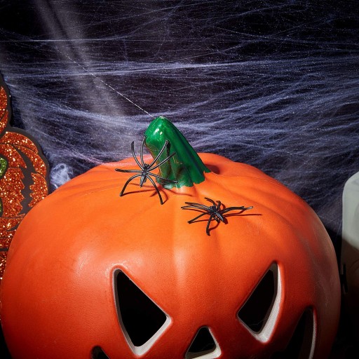 UMELÝ PAVÚČIK BIELY HALLOWEEN 60g + PAVÚKY