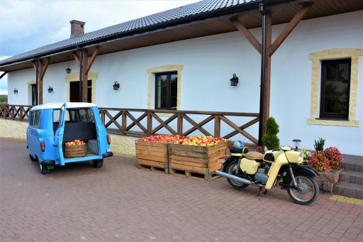Kamčatské bobule - zdroj mladosti a zdravého zraku