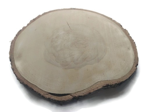 Plátky suchého dreva, brezové kotúče, 16-20 cm
