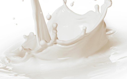 WPC 60 - Srvátkový proteínový koncentrát 100g