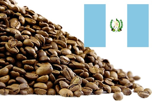 GUATEMALA SHB - čerstvo pražená káva (100 g)