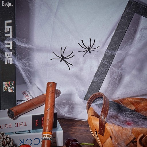UMELÝ PAVÚČIK BIELY HALLOWEEN 60g + PAVÚKY
