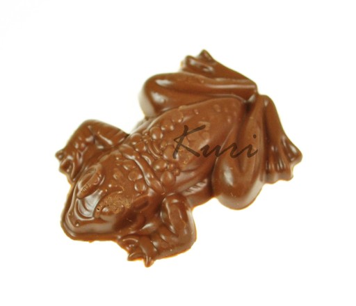Jelly Belly Harry Potter - fazuľa Bertie Botts 35g
