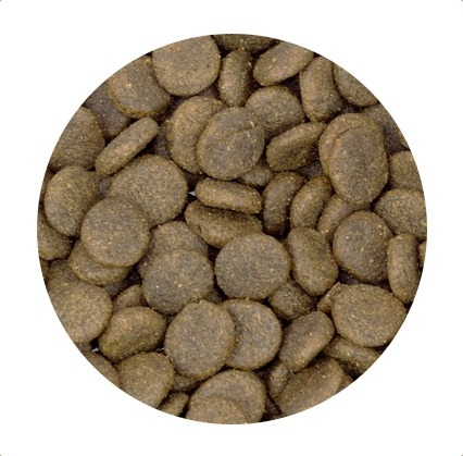 CANIWILD ADULT JEMNÝ PSTRUH LOSOS PRE PSY 100G
