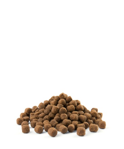 VERSELE LAGA OPTI LIFE MINI KURČA 1KG HMOTNOSTI
