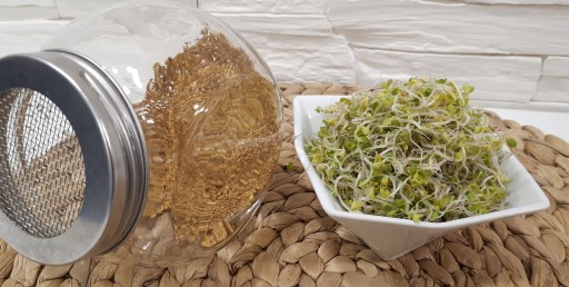 SAREPSOVÁ HORČICA - semená na klíčky 100g