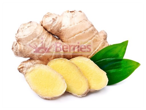 BIO zázvorová šťava 95% BIO zázvorová šťava 250ml